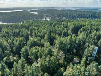 11316 Breaker Way , Anderson Island, WA 98303 - Photo 6