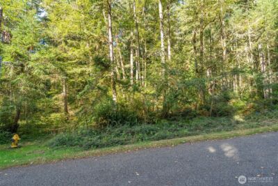 10602 Vantage Drive , Anderson Island, WA 98303 - Photo 1