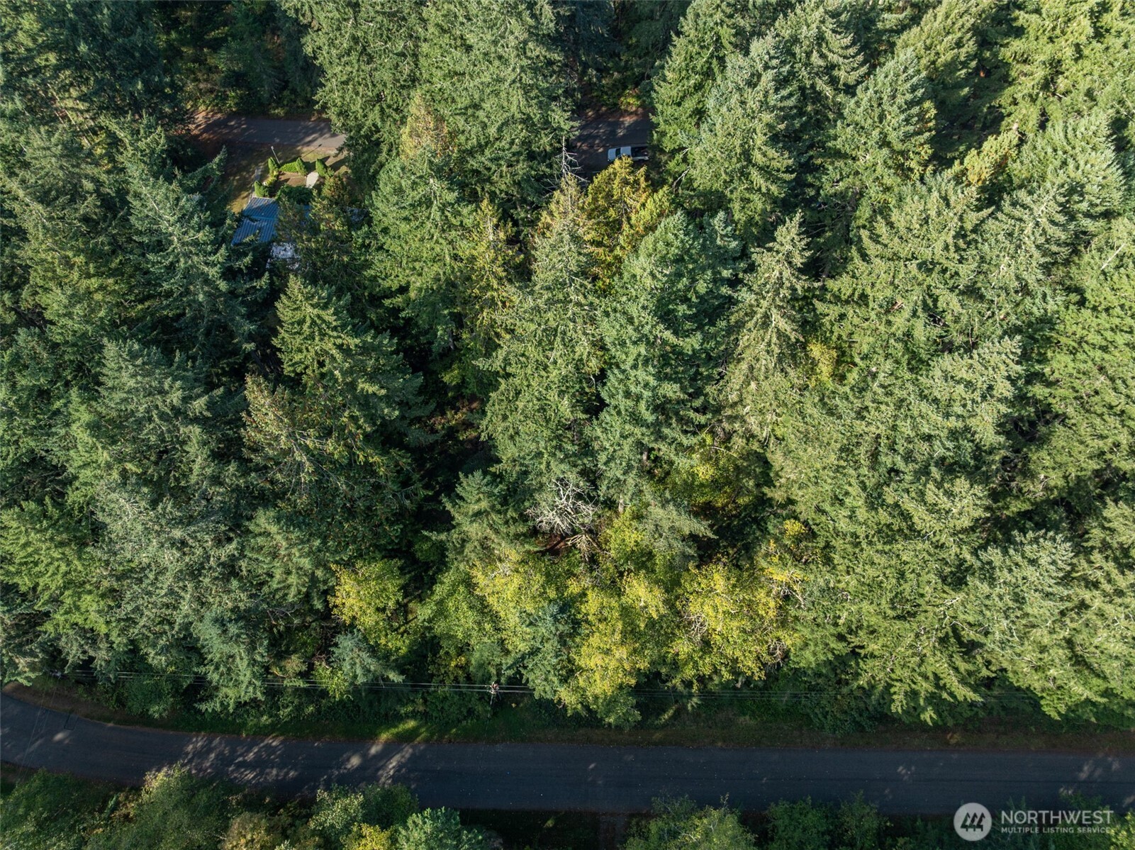 10602 Vantage Drive , Anderson Island, WA 98303