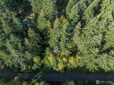 10602 Vantage Drive , Anderson Island, WA 98303 - Photo 2