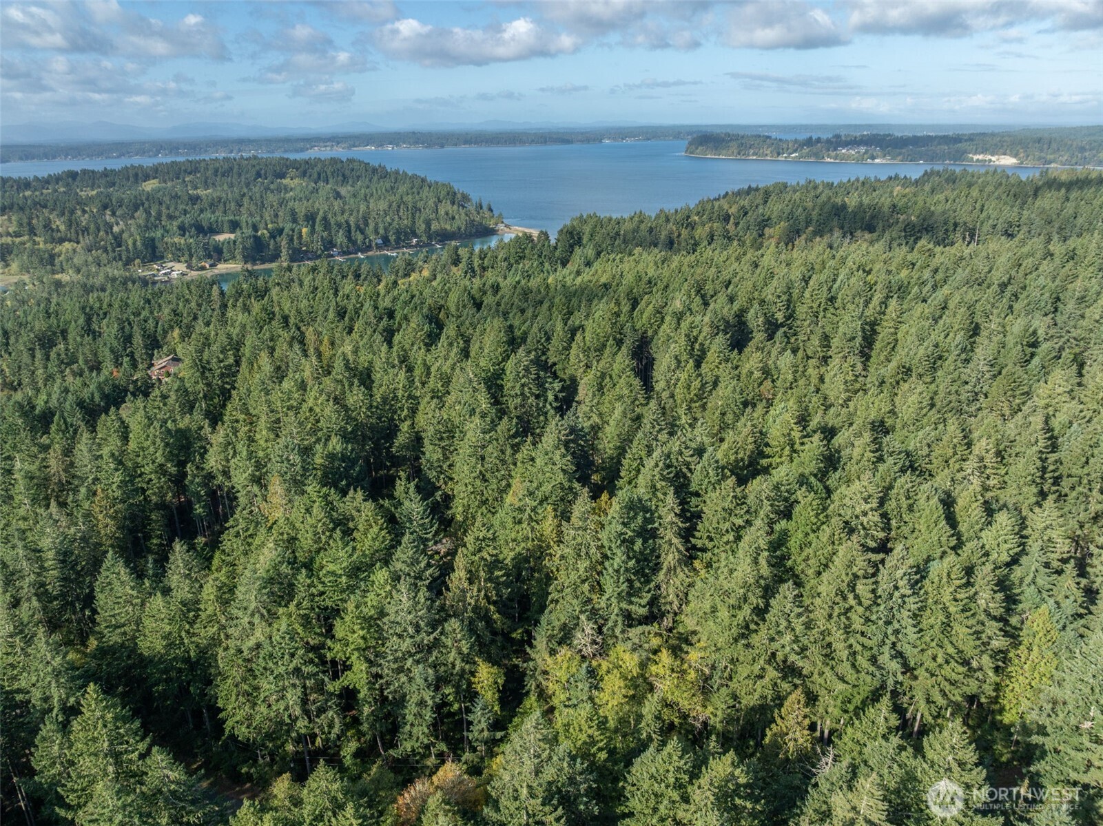 10602 Vantage Drive , Anderson Island, WA 98303