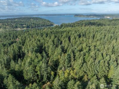 10602 Vantage Drive , Anderson Island, WA 98303 - Photo 3