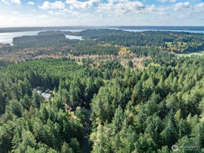 10602 Vantage Drive , Anderson Island, WA 98303 - Photo 4