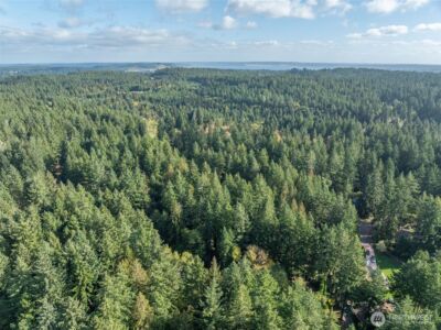 10602 Vantage Drive , Anderson Island, WA 98303 - Photo 7