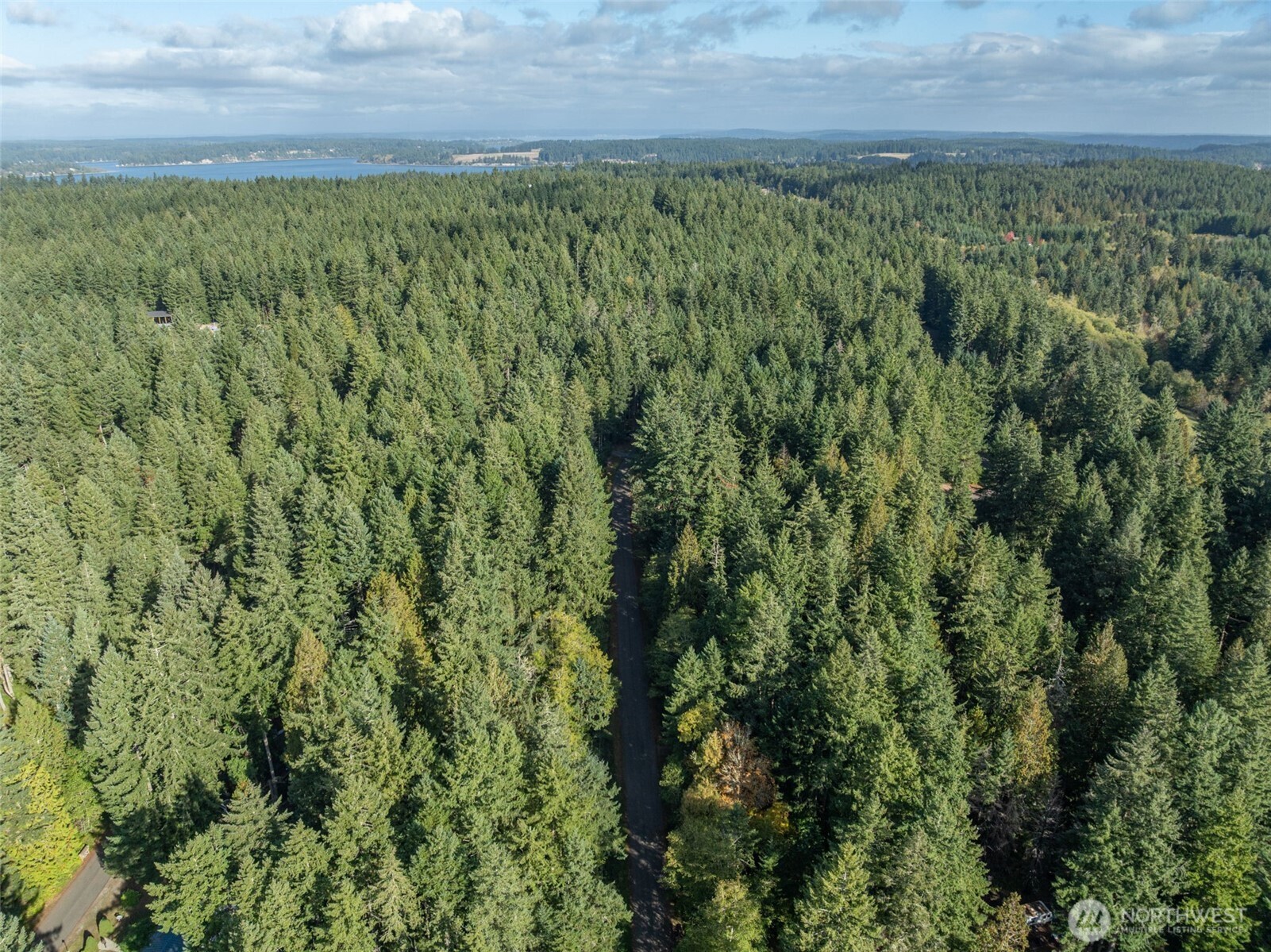 10602 Vantage Drive , Anderson Island, WA 98303