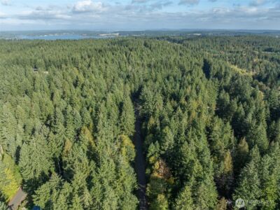 10602 Vantage Drive , Anderson Island, WA 98303 - Photo 8