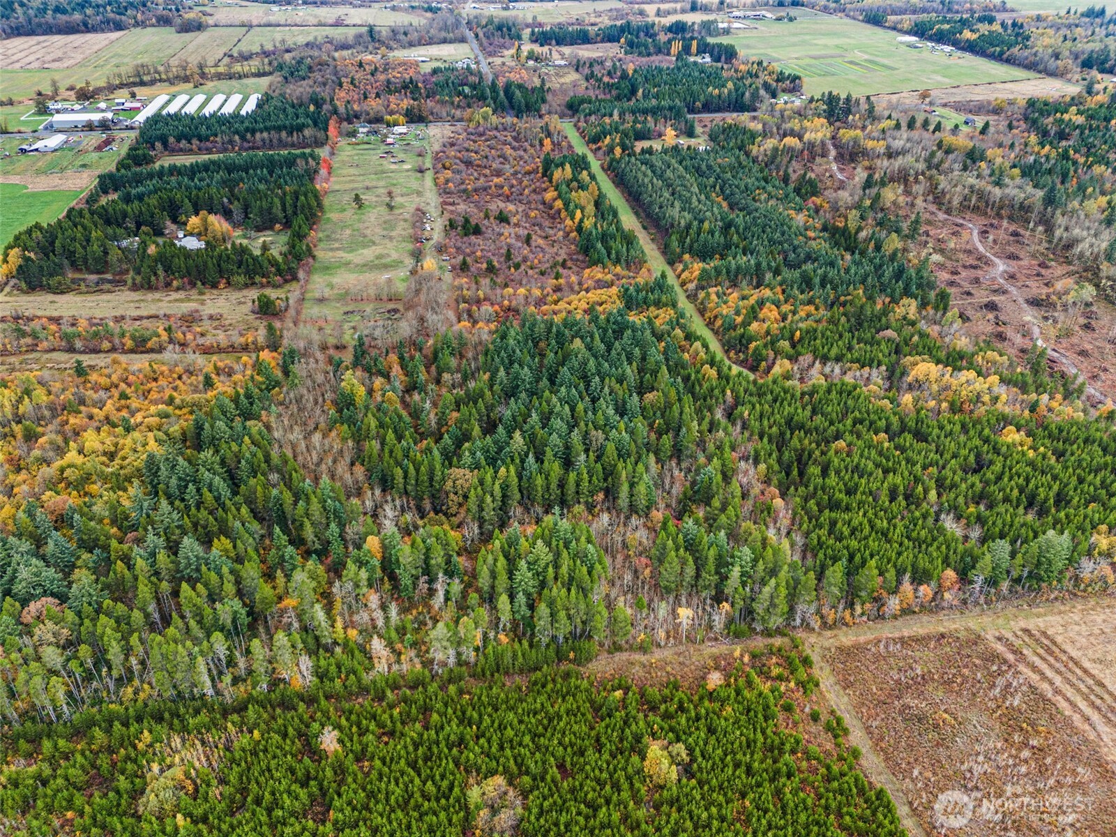 0 X Oyler Road , Toledo, WA 98591