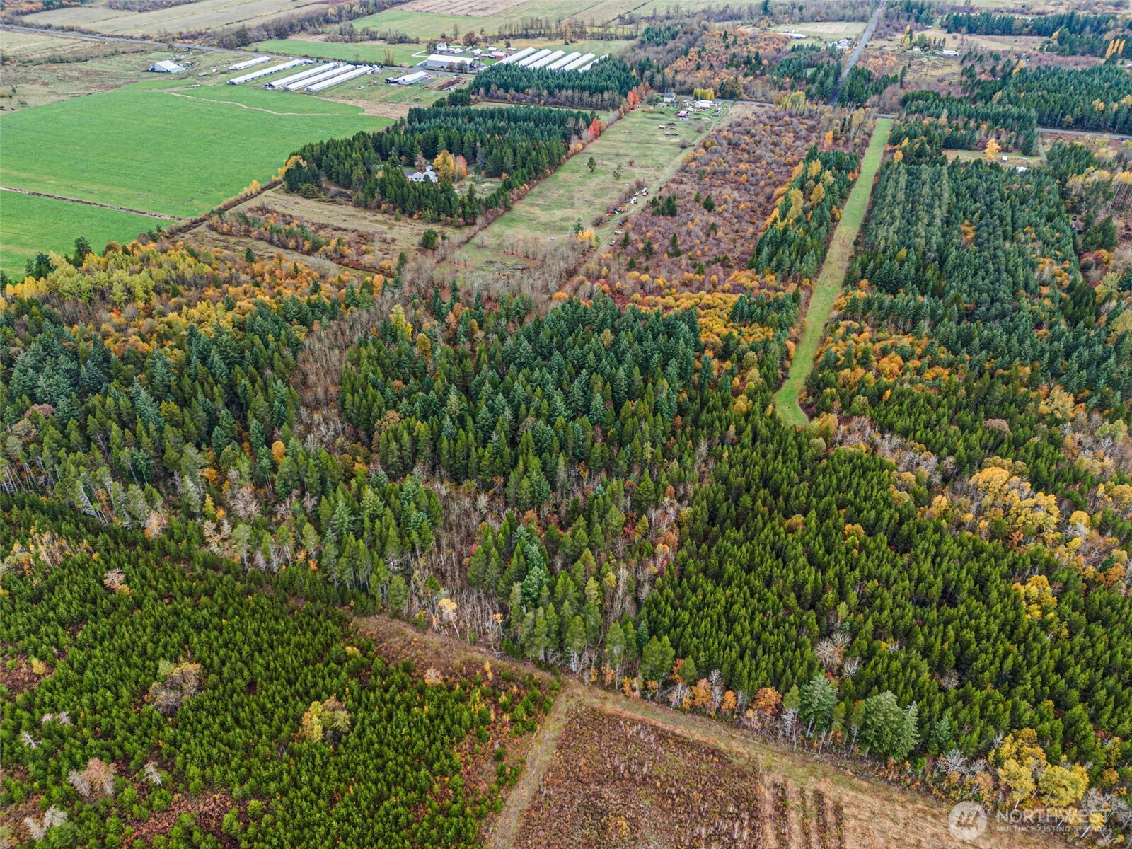 0 X Oyler Road , Toledo, WA 98591