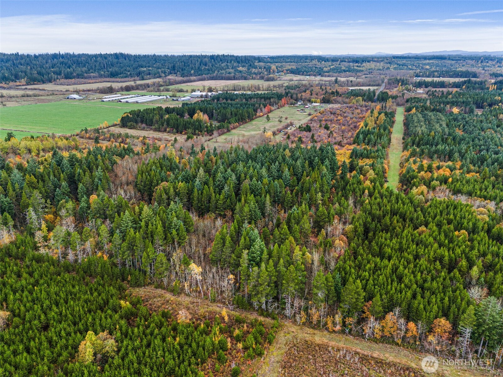 0 X Oyler Road , Toledo, WA 98591