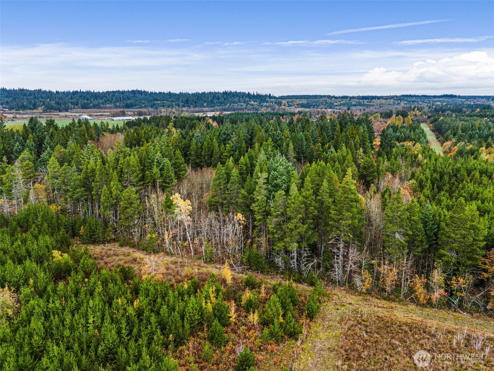 0 X Oyler Road , Toledo, WA 98591