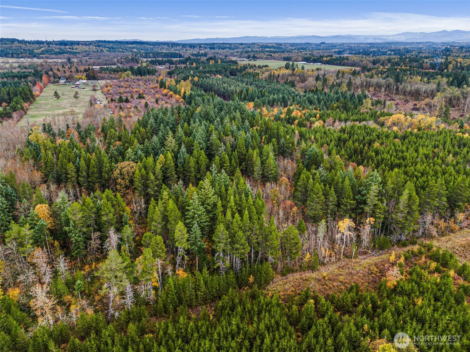 0 X Oyler Road , Toledo, WA 98591