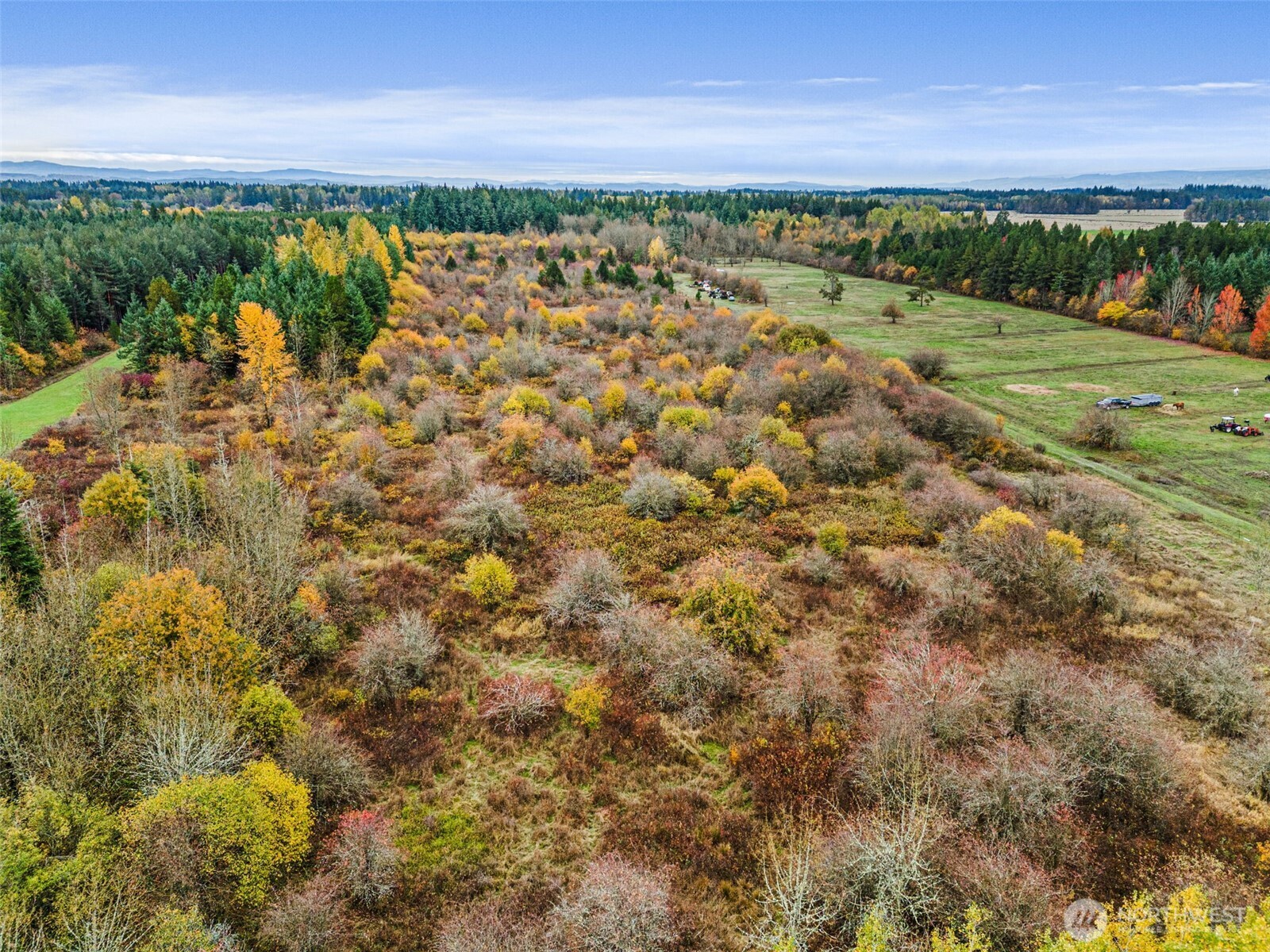 0 X Oyler Road , Toledo, WA 98591