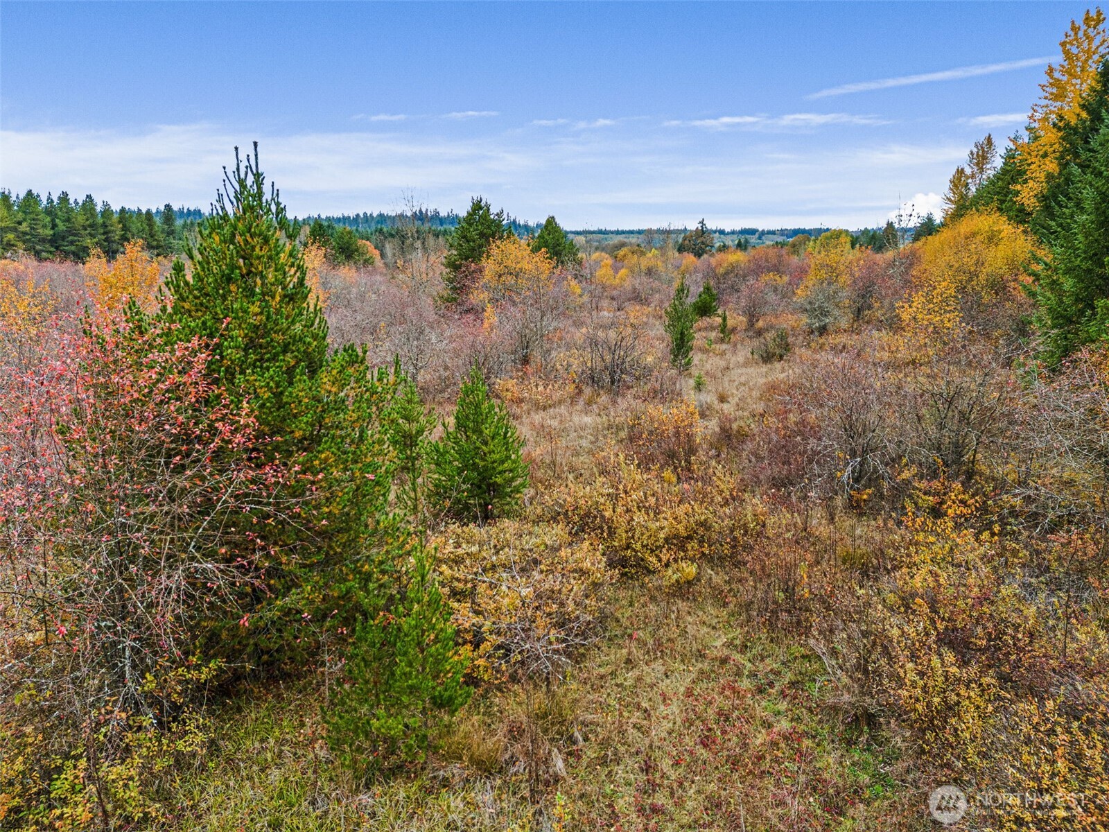 0 X Oyler Road , Toledo, WA 98591