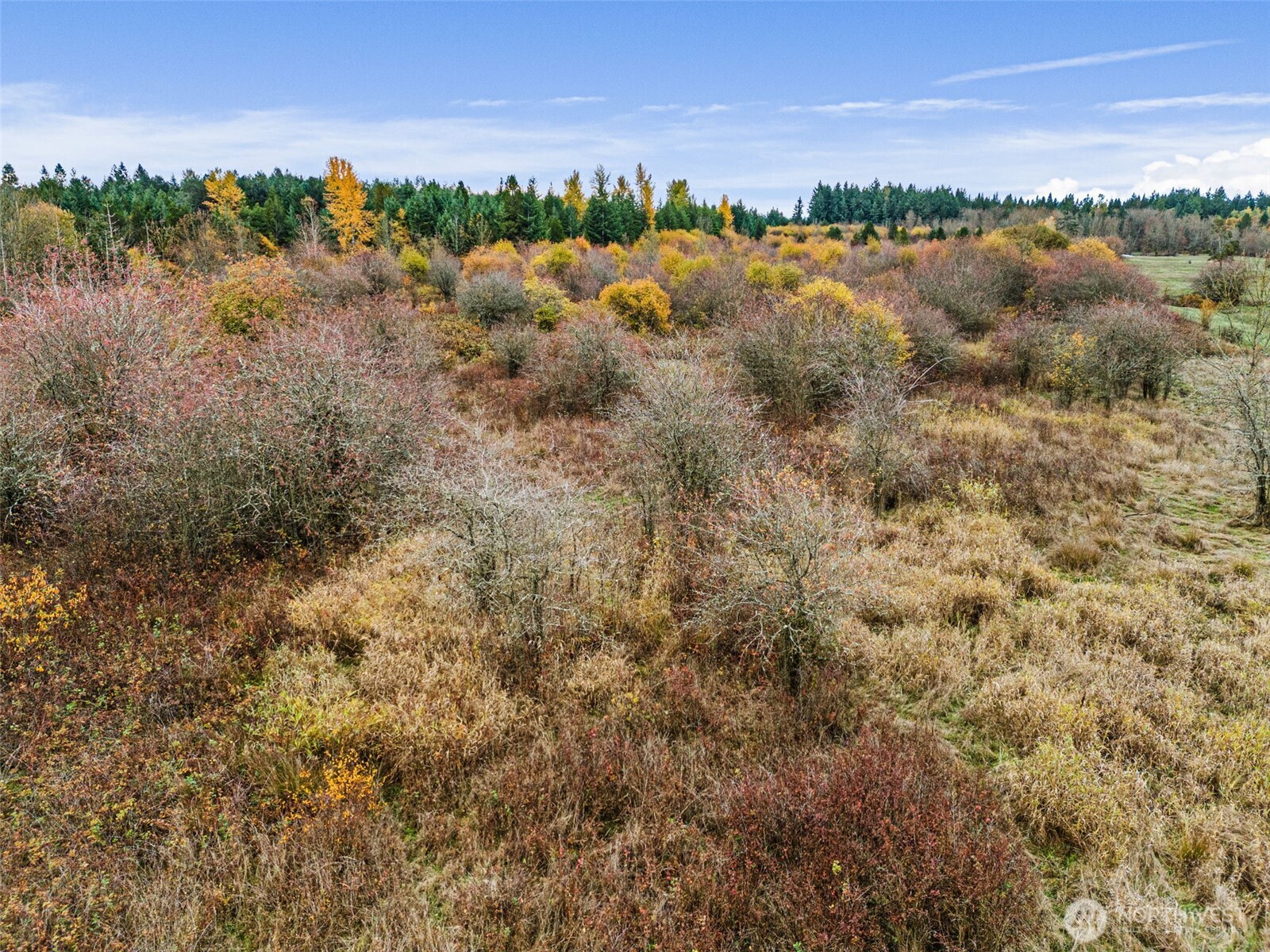 0 X Oyler Road , Toledo, WA 98591