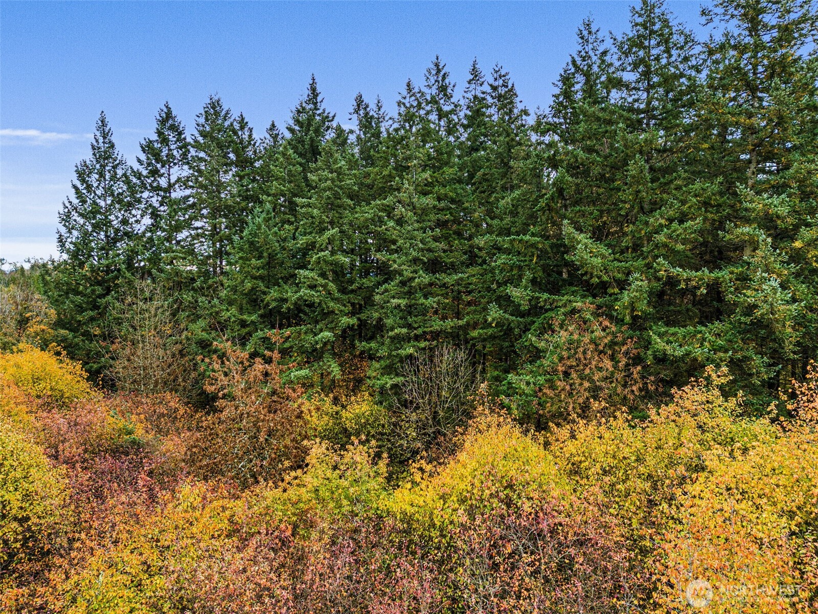 0 X Oyler Road , Toledo, WA 98591