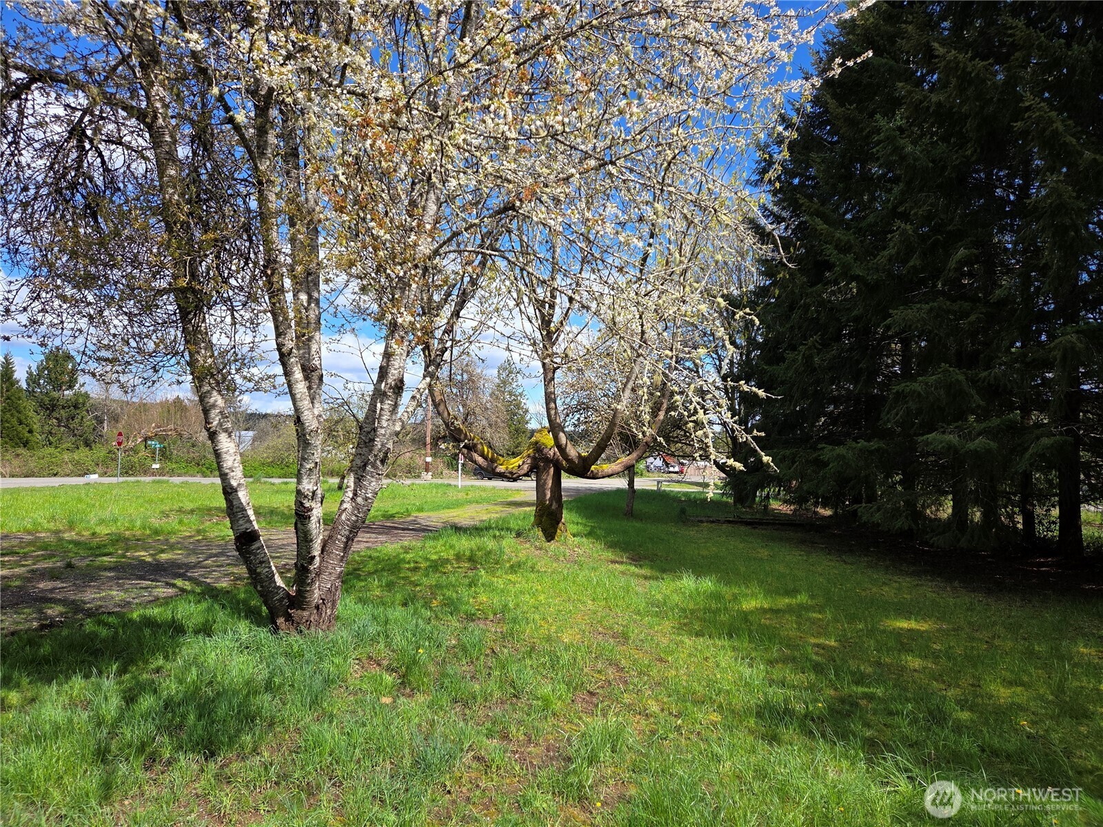 175 Stevens Road , Doty, WA 98532
