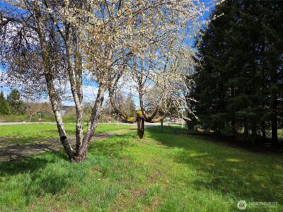 175 Stevens Road , Doty, WA 98532 - Photo 29