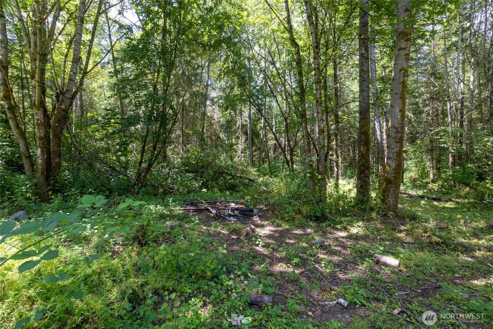328 XX 16th Avenue S, Roy, WA 98580