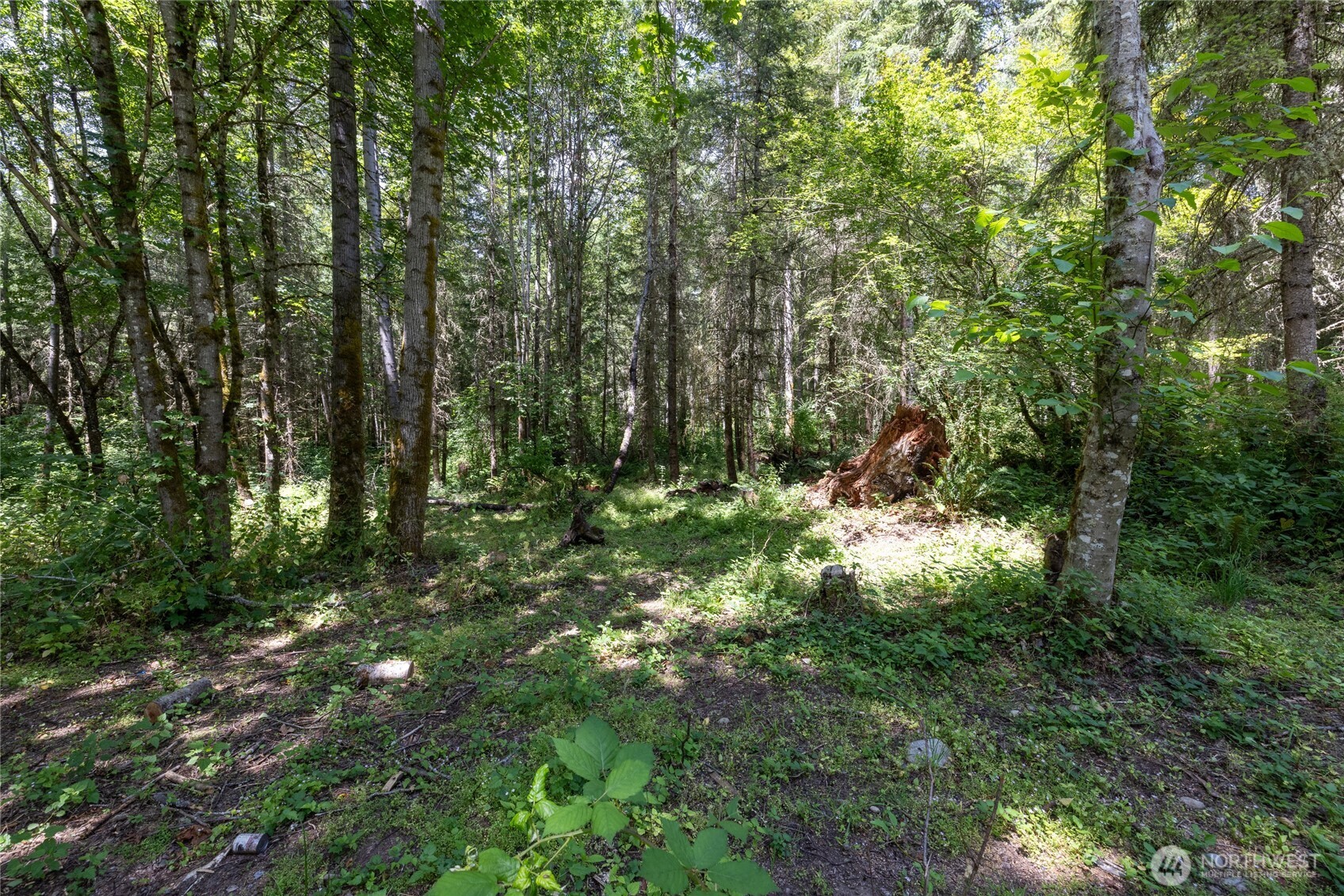 328 XX 16th Avenue S, Roy, WA 98580