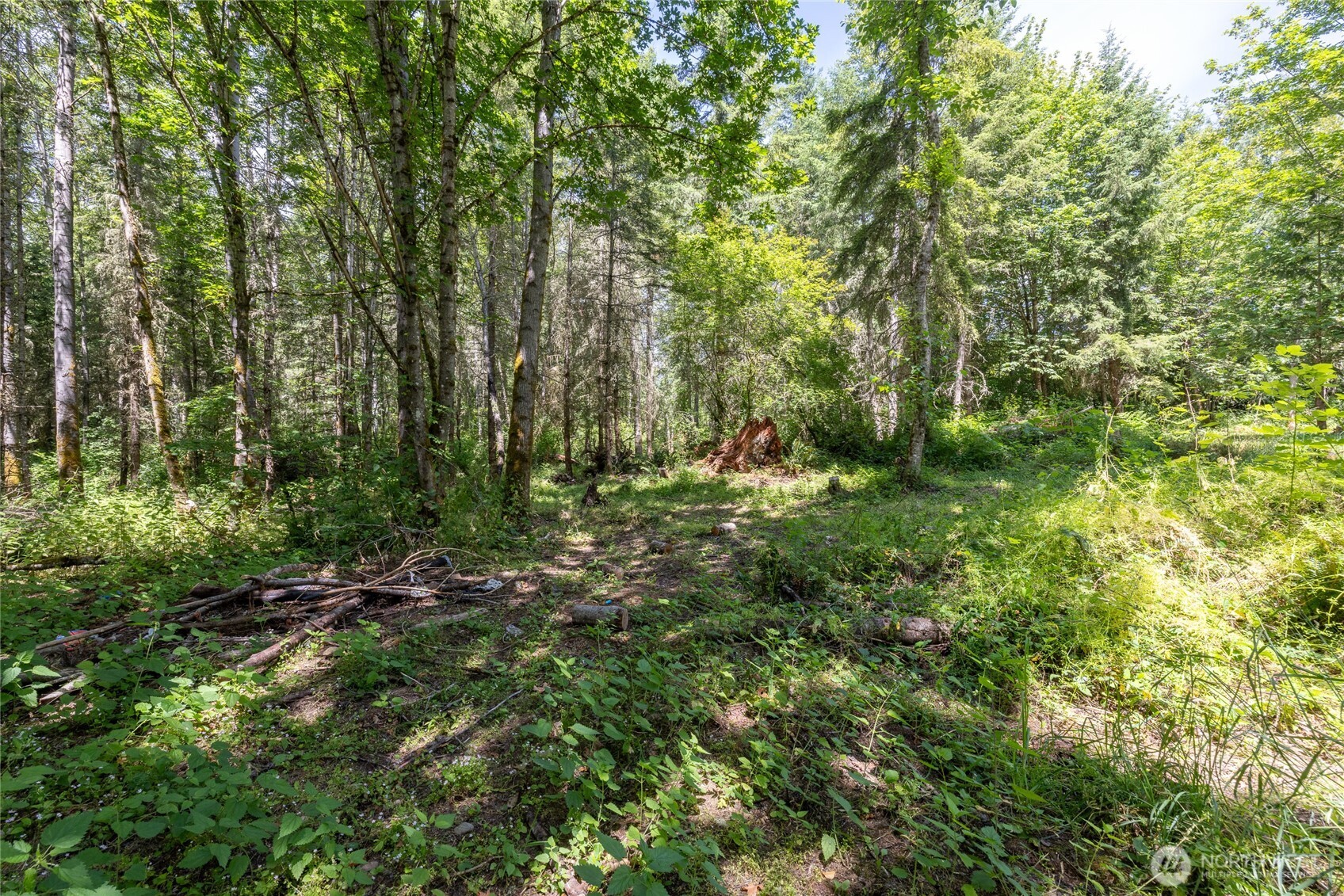 328 XX 16th Avenue S, Roy, WA 98580