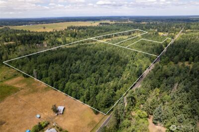 328 XX 16th Avenue S, Roy, WA 98580