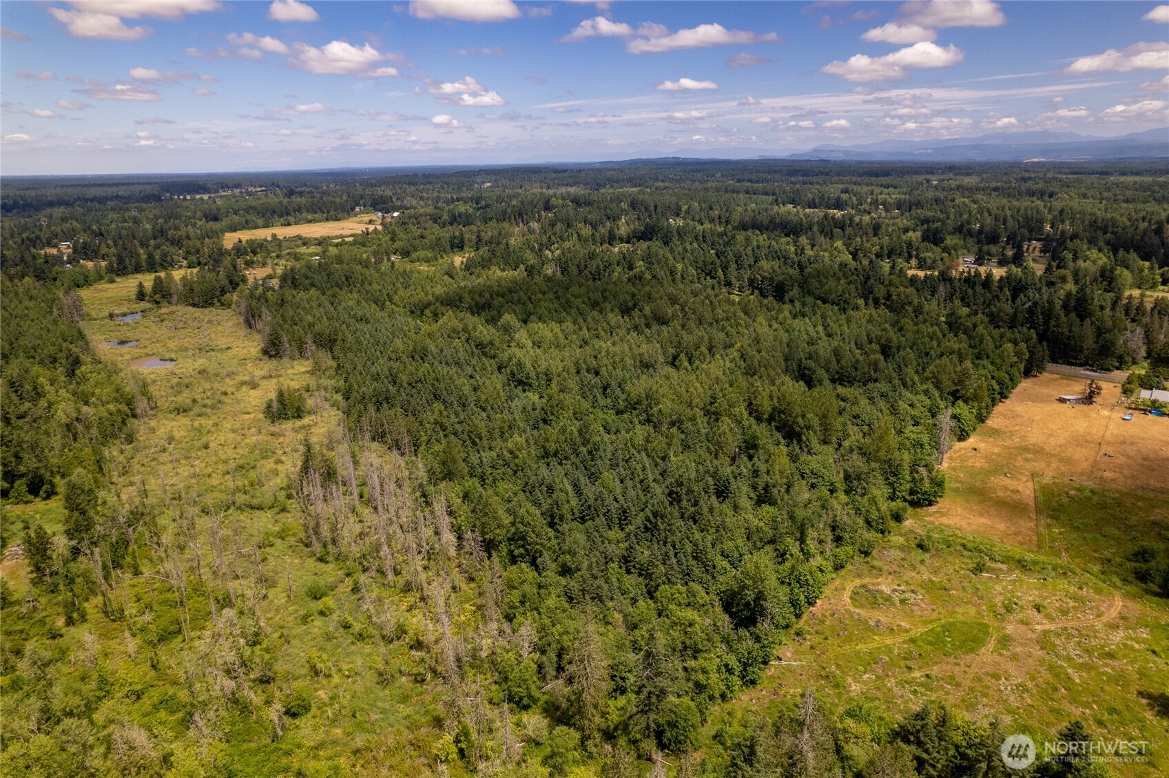 328 XX 16th Avenue S, Roy, WA 98580