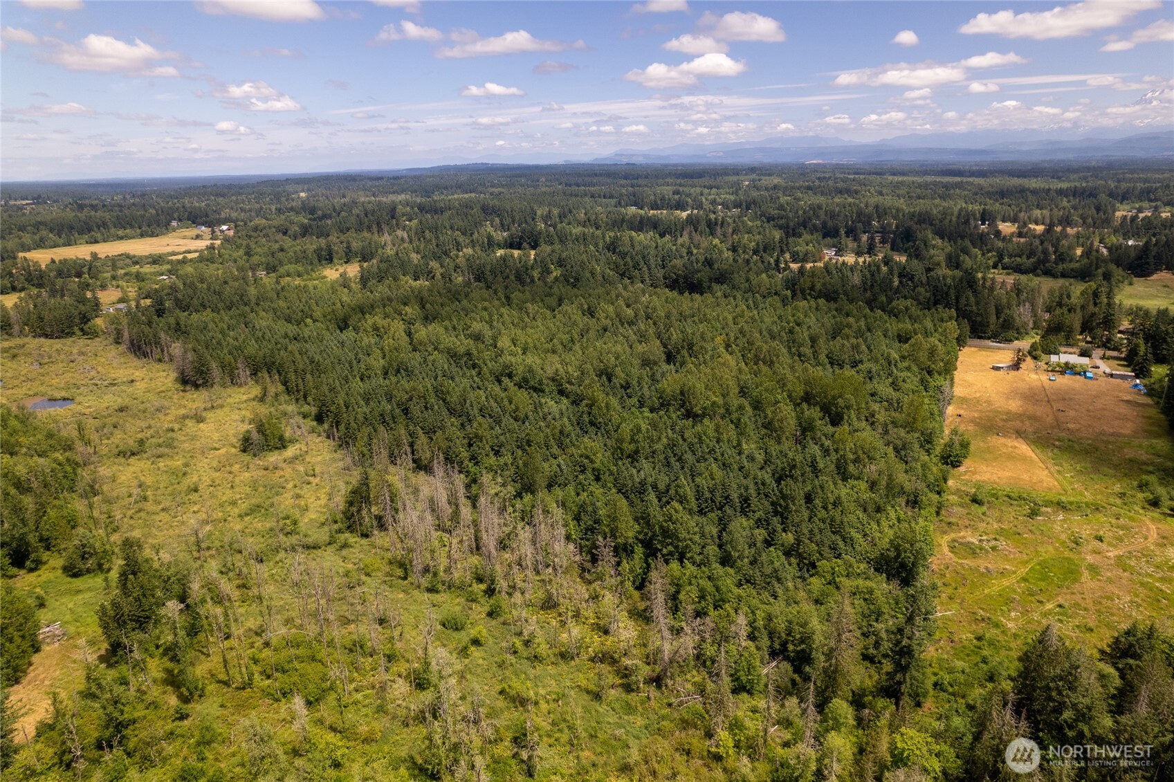 328 XX 16th Avenue S, Roy, WA 98580