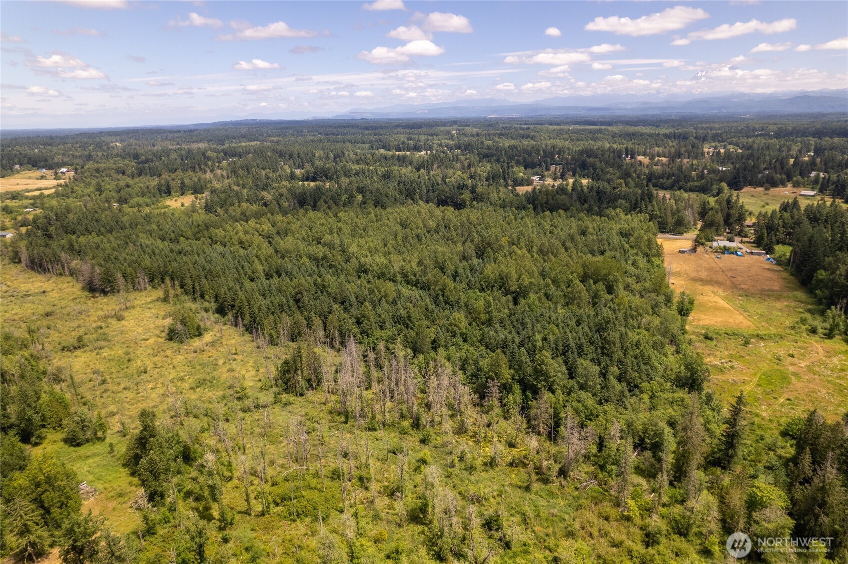 328 XX 16th Avenue S, Roy, WA 98580