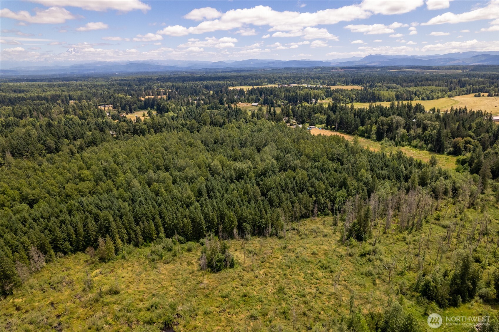 328 XX 16th Avenue S, Roy, WA 98580