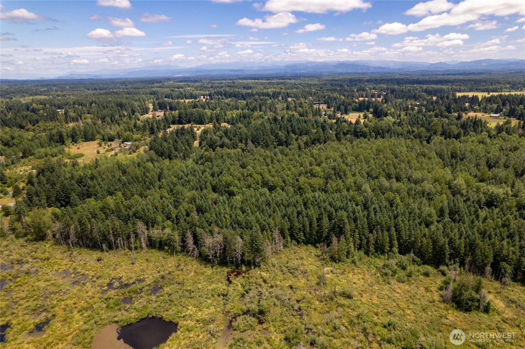 328 XX 16th Avenue S, Roy, WA 98580