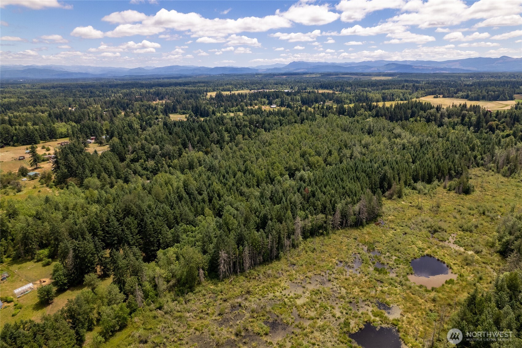 328 XX 16th Avenue S, Roy, WA 98580