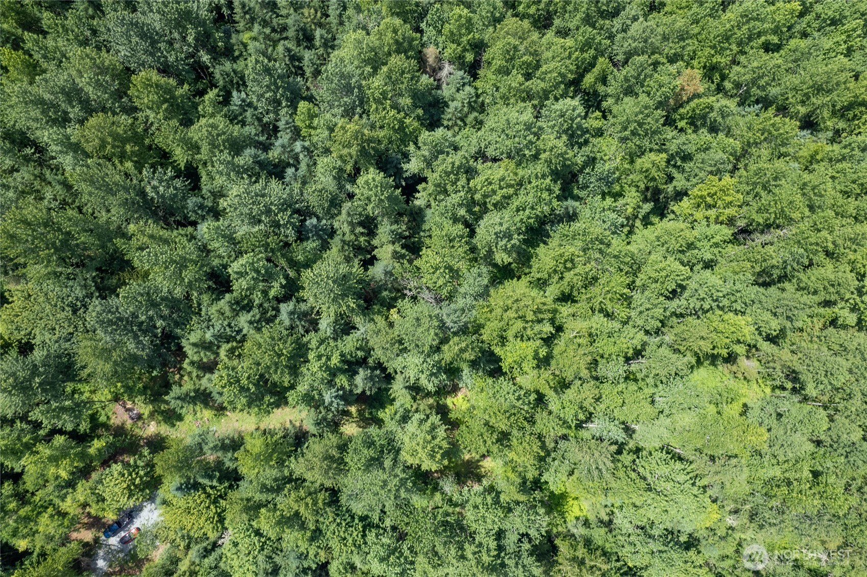 328 XX 16th Avenue S, Roy, WA 98580