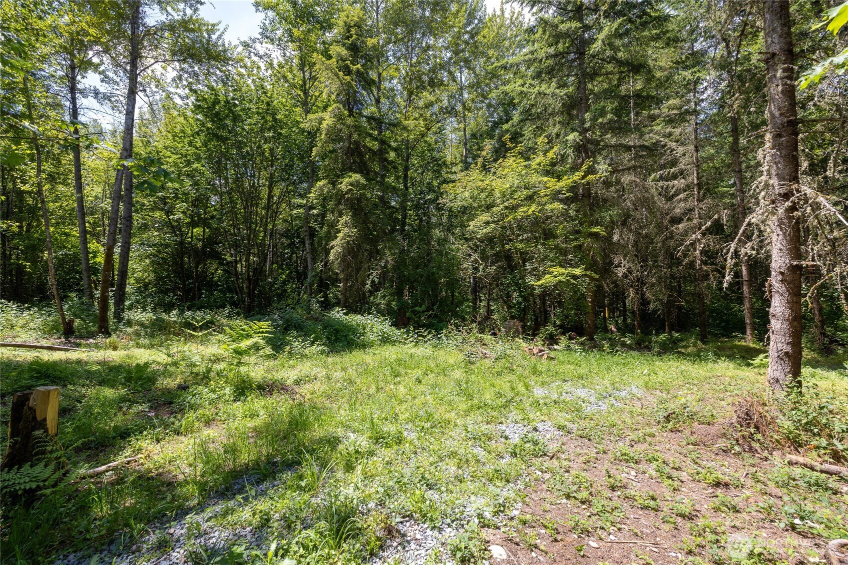 328 XX 16th Avenue S, Roy, WA 98580