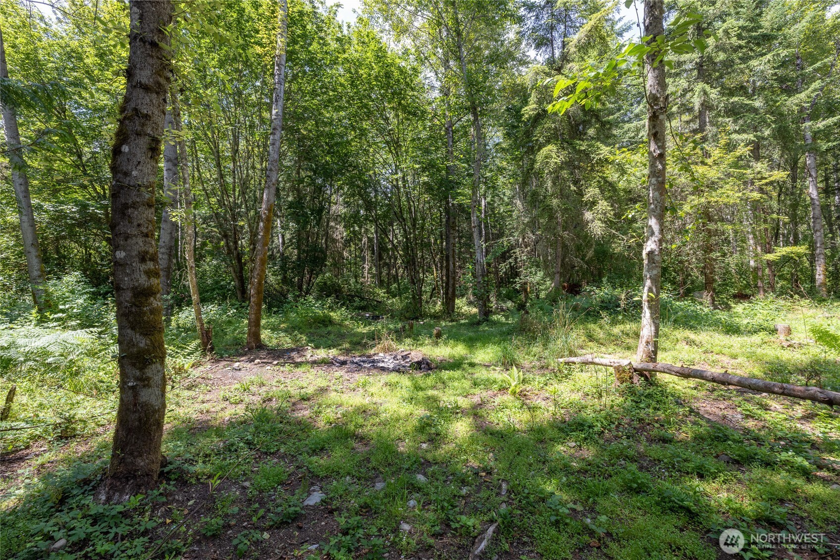 328 XX 16th Avenue S, Roy, WA 98580