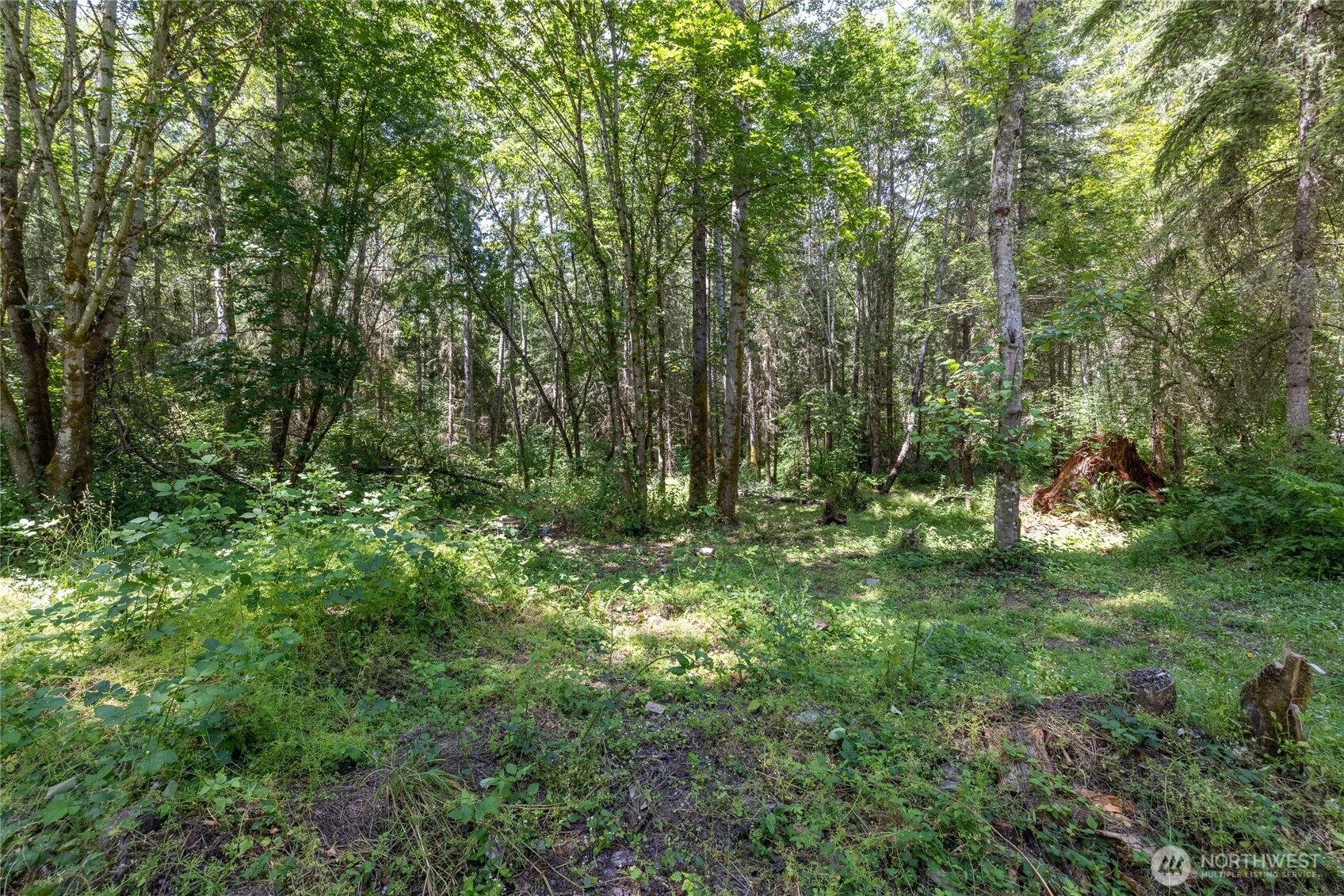 328 XX 16th Avenue S, Roy, WA 98580