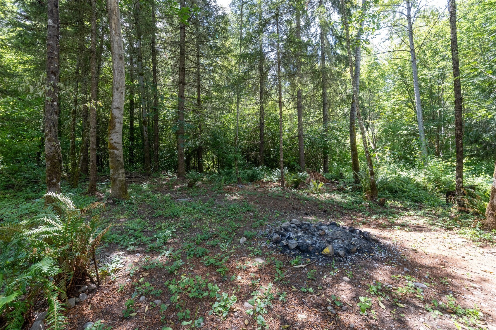 328 XX 16th Avenue S, Roy, WA 98580
