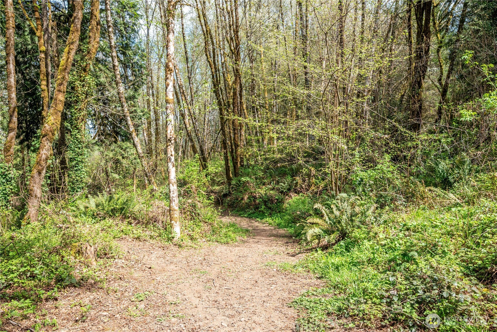 976 Sandy Bend Road , Castle Rock, WA 98611