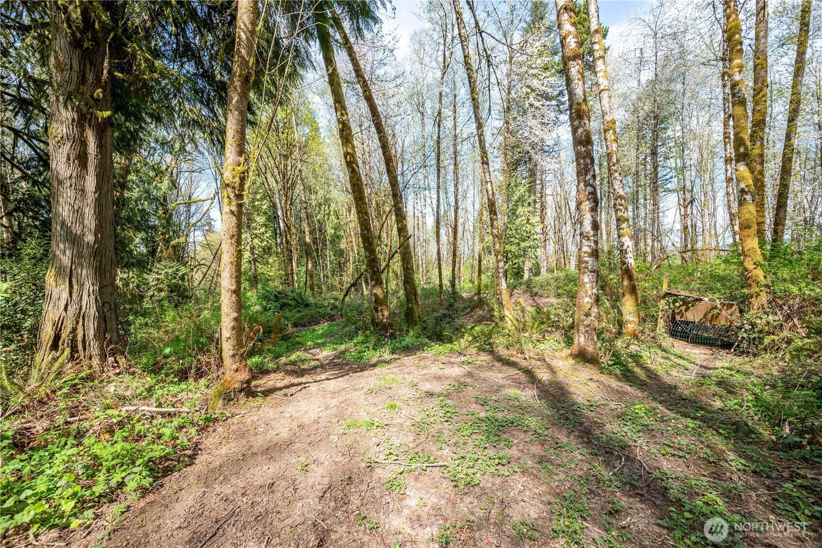 976 Sandy Bend Road , Castle Rock, WA 98611