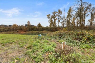 152 Hwy 603 , Chehalis, WA 98532 - Photo 17