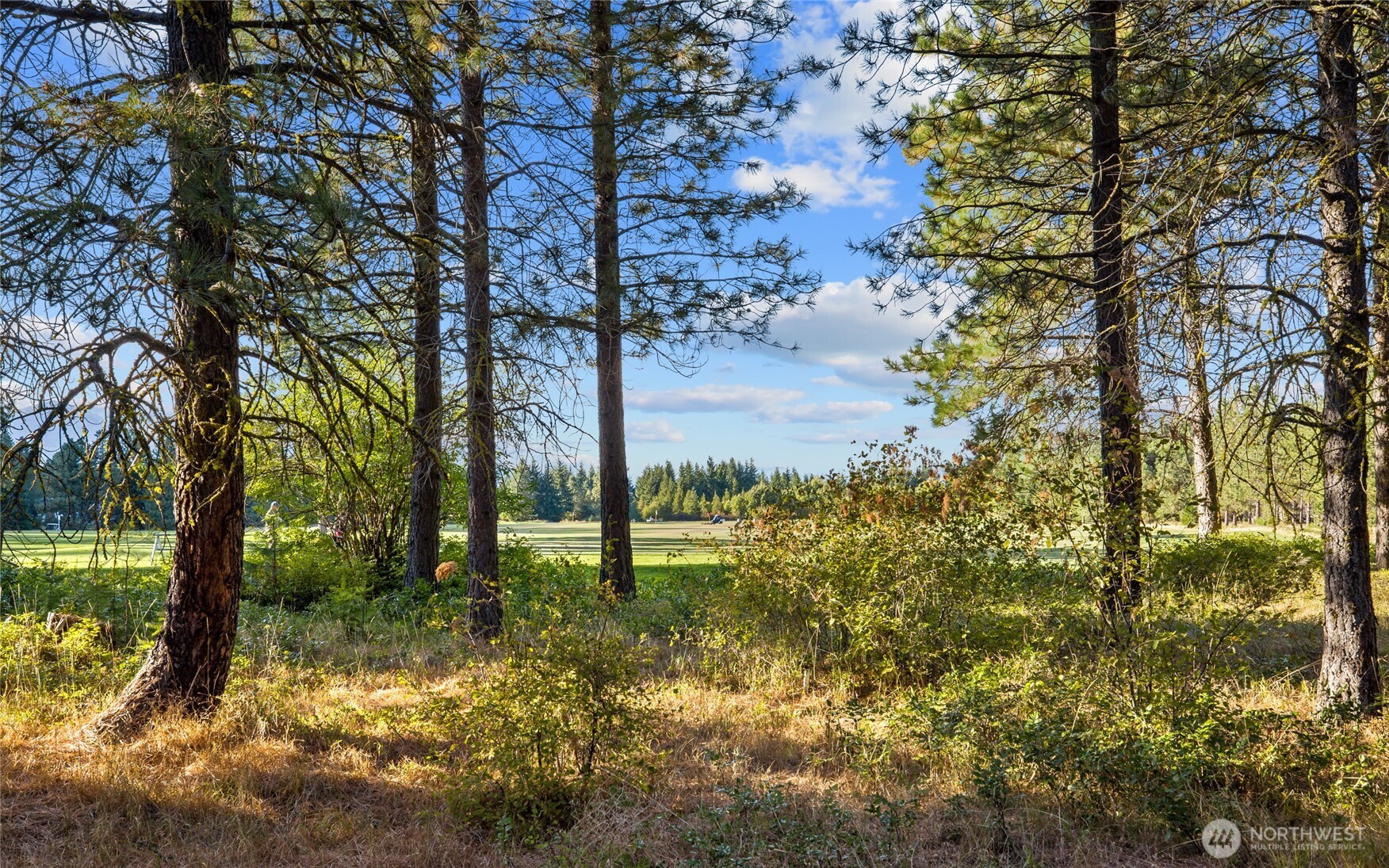 2040 Ruby King Loop , Cle Elum, WA 98922