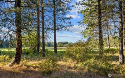 2040 Ruby King Loop , Cle Elum, WA 98922
