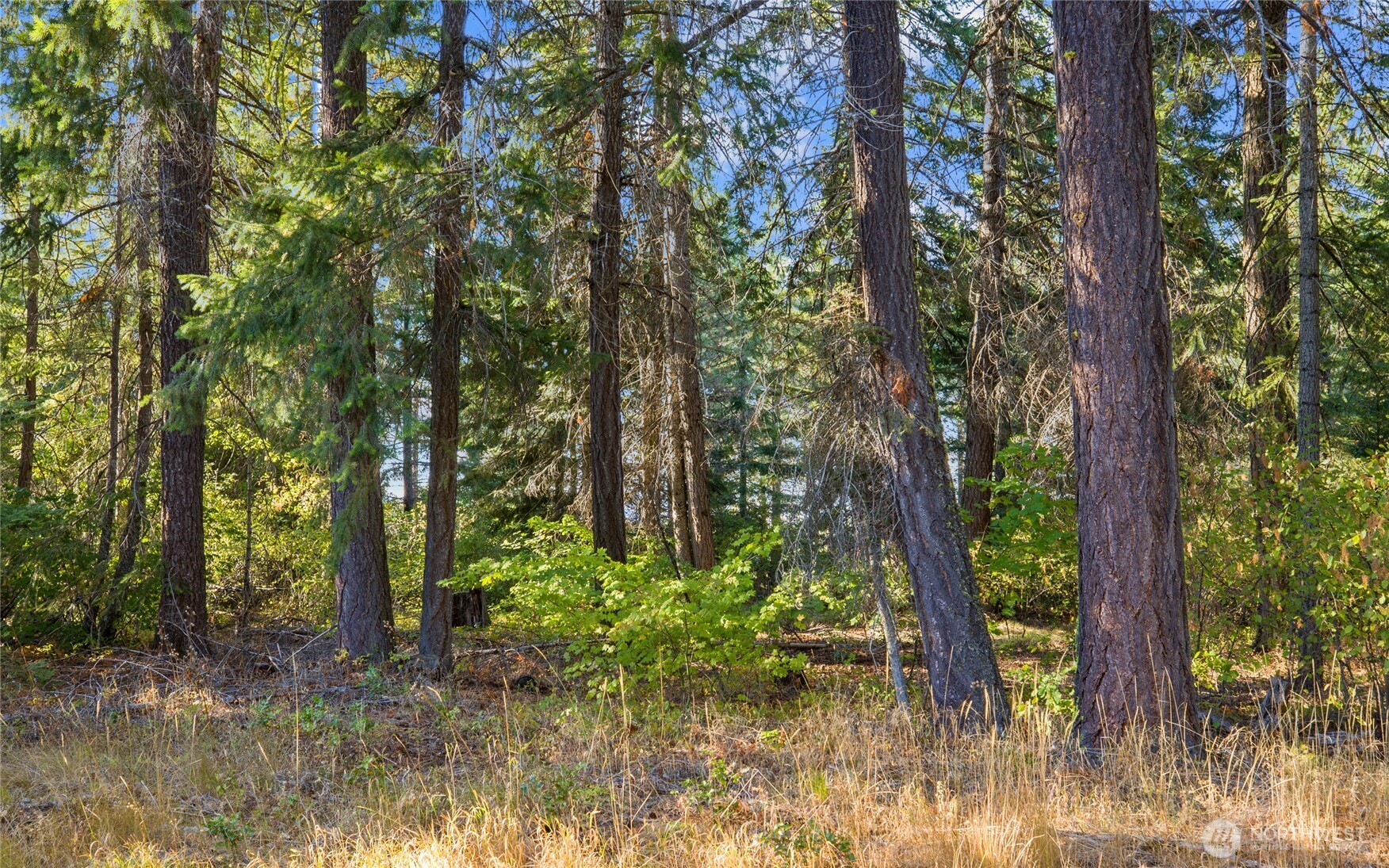 2040 Ruby King Loop , Cle Elum, WA 98922