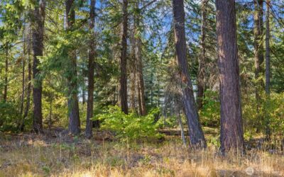 2040 Ruby King Loop , Cle Elum, WA 98922 - Photo 2