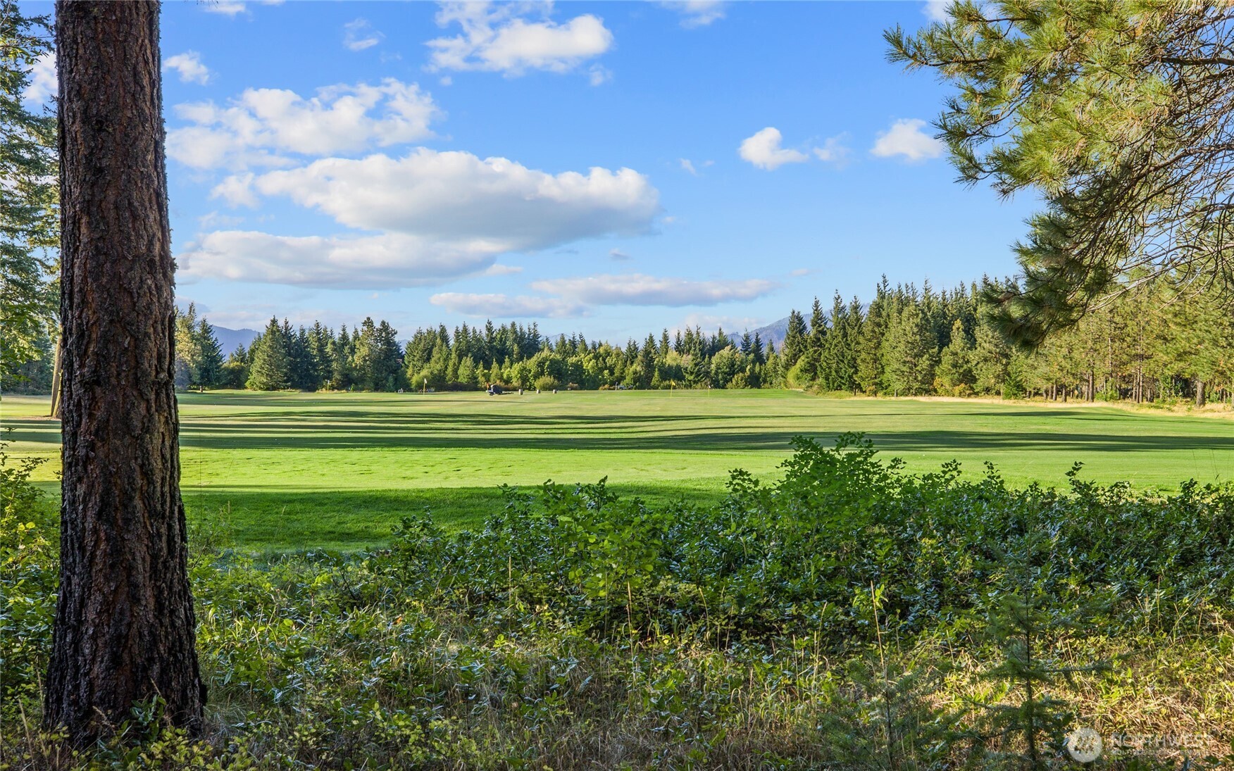 2040 Ruby King Loop , Cle Elum, WA 98922