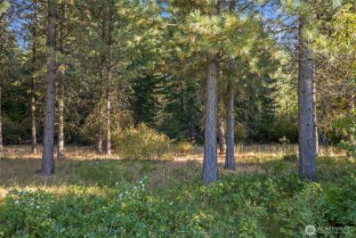 2040 Ruby King Loop , Cle Elum, WA 98922 - Photo 6