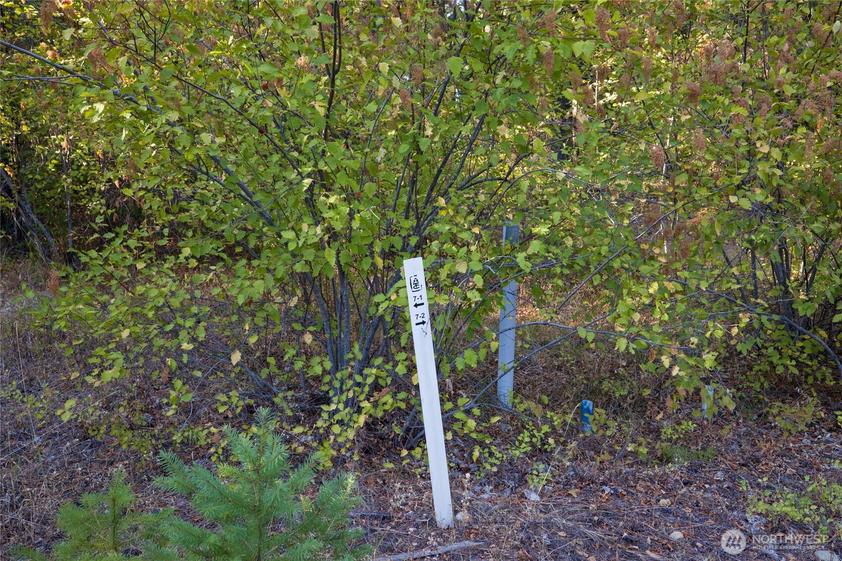 2040 Ruby King Loop , Cle Elum, WA 98922