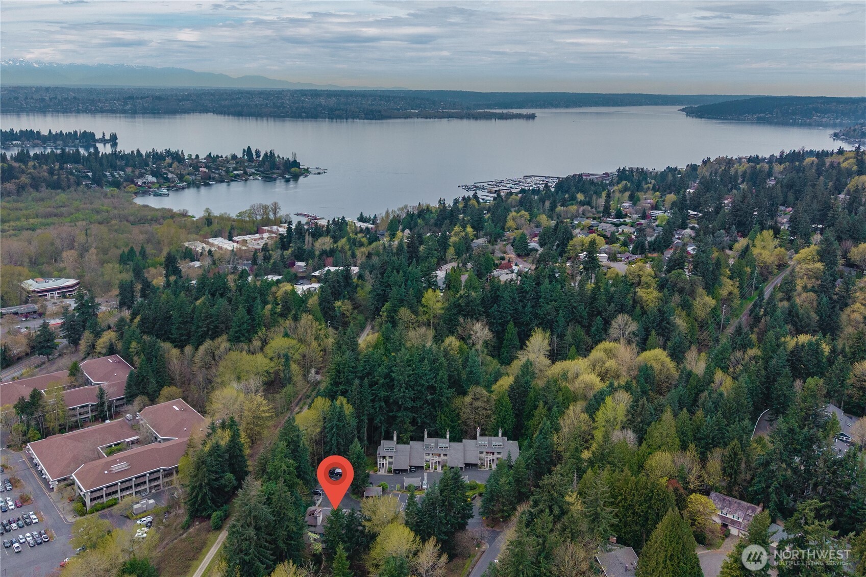 3911 108th Avenue NE #B203, Bellevue, WA 98004