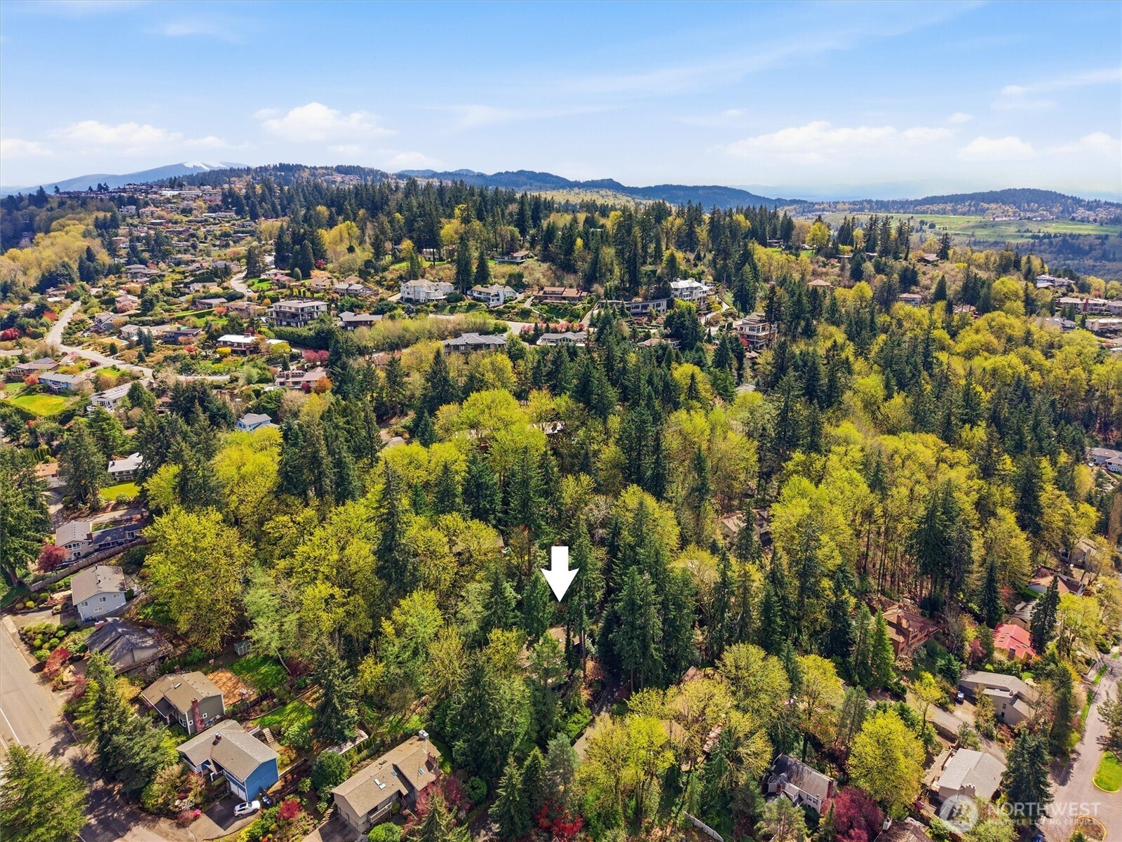 14317 SE 49th Street , Bellevue, WA 98006