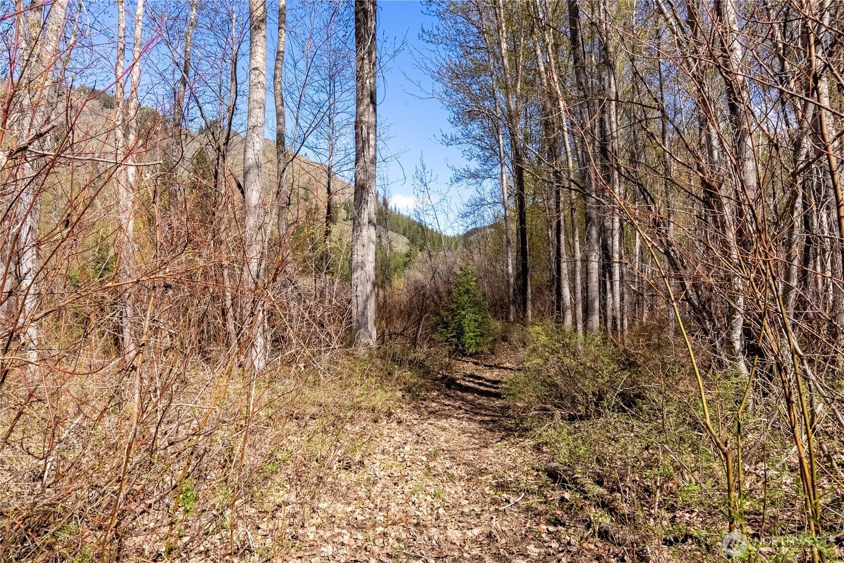 74 W Buttermilk Creek Road , Twisp, WA 98856
