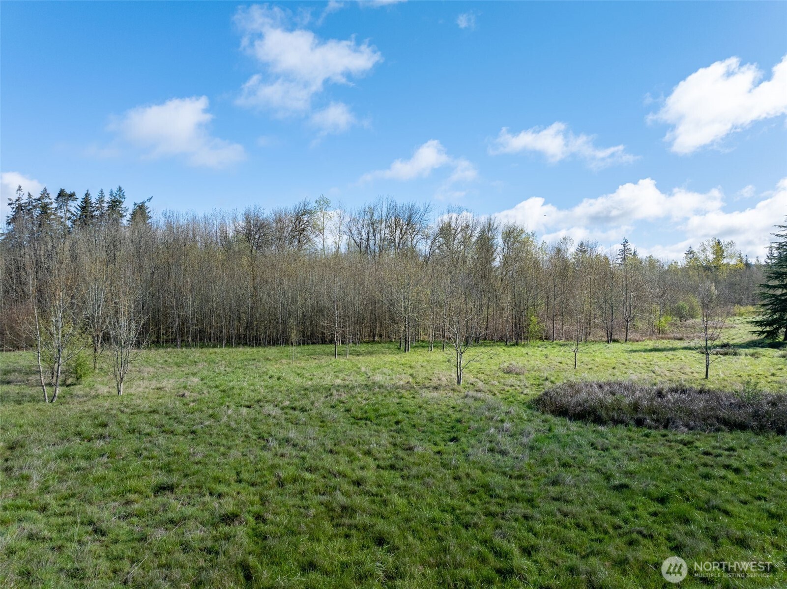 113 Rose Marie Drive , Chehalis, WA 98532